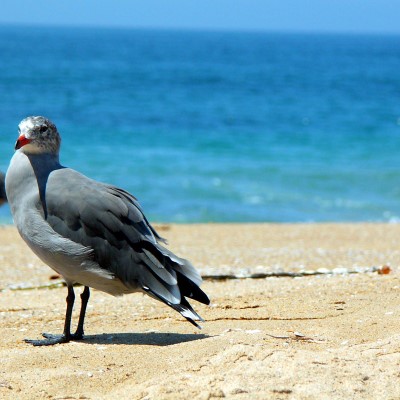 1920 x 1080 HD Wallpapers 3428